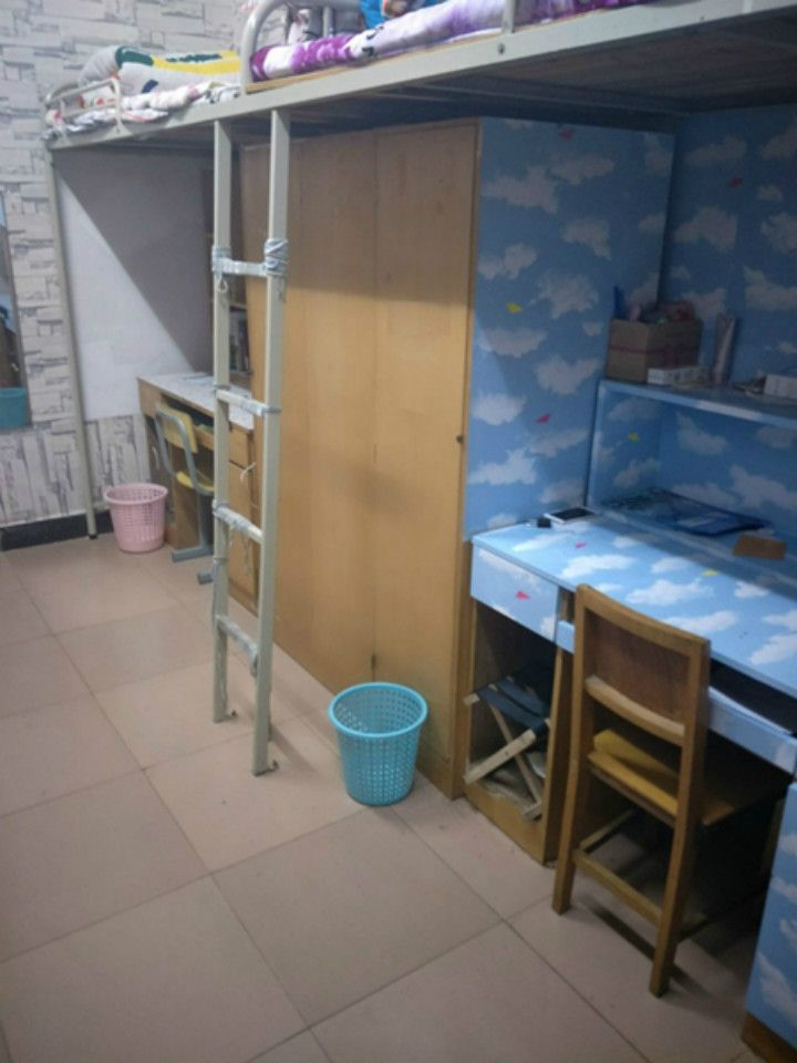 林业生态学院举行别样的学雷锋活动_湖北生态工程职业