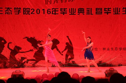 IMG_0930_副本.jpg