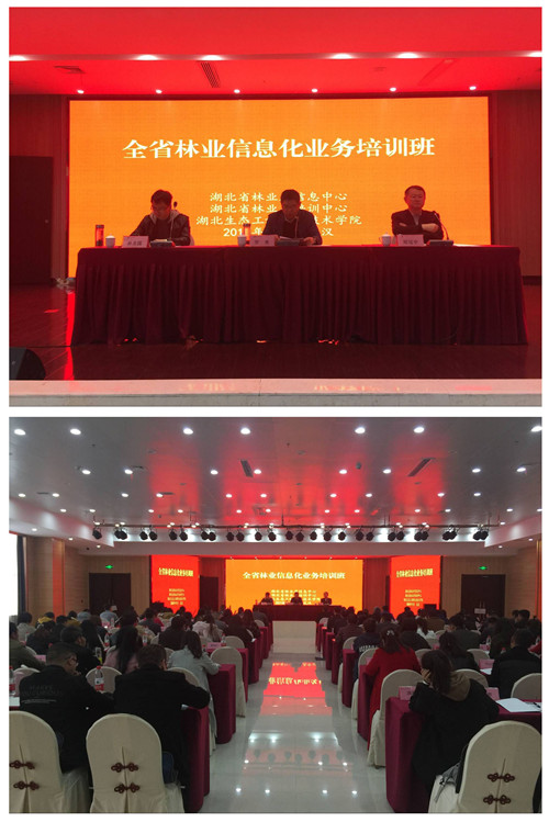 林业信息化业务培训.jpg