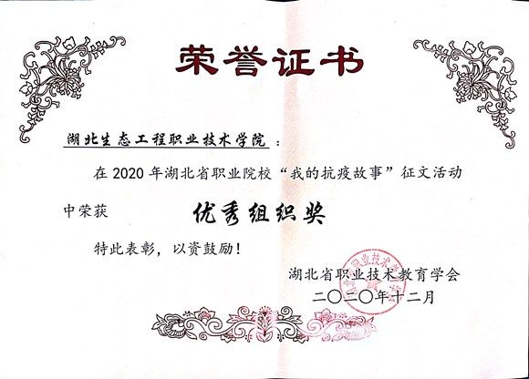 优秀组织奖.JPG