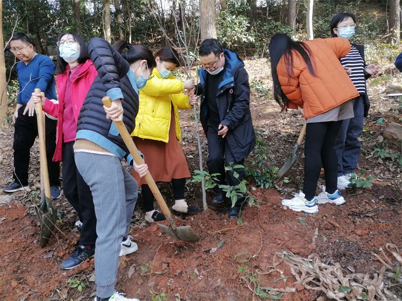 三八妇女节植树活动现场.jpg