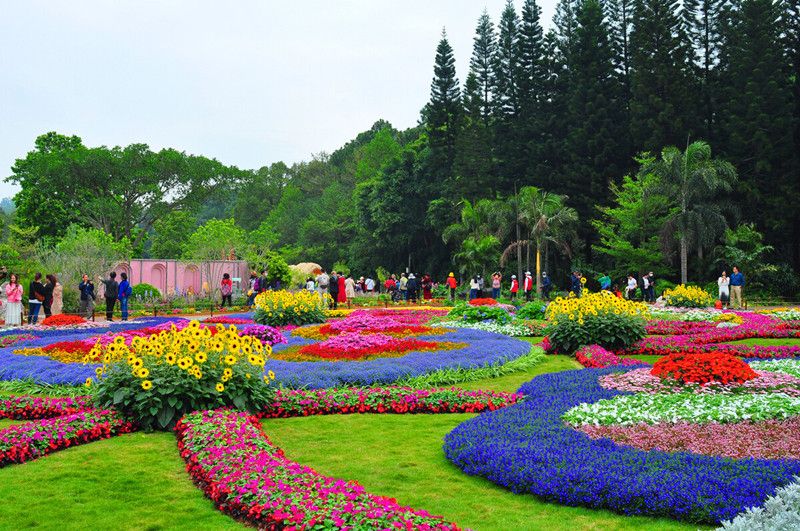 室外植物造景_副本.jpg