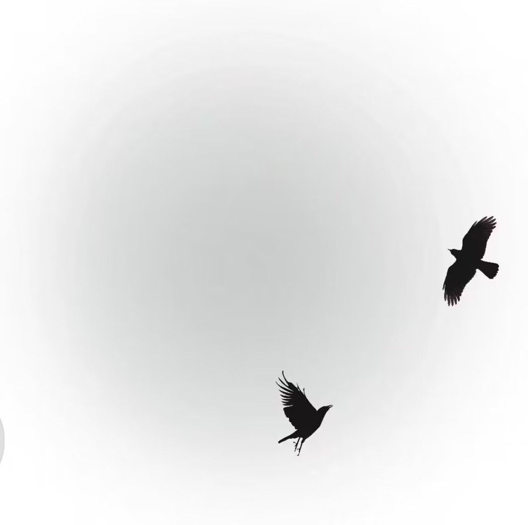 1676543459747341.jpg