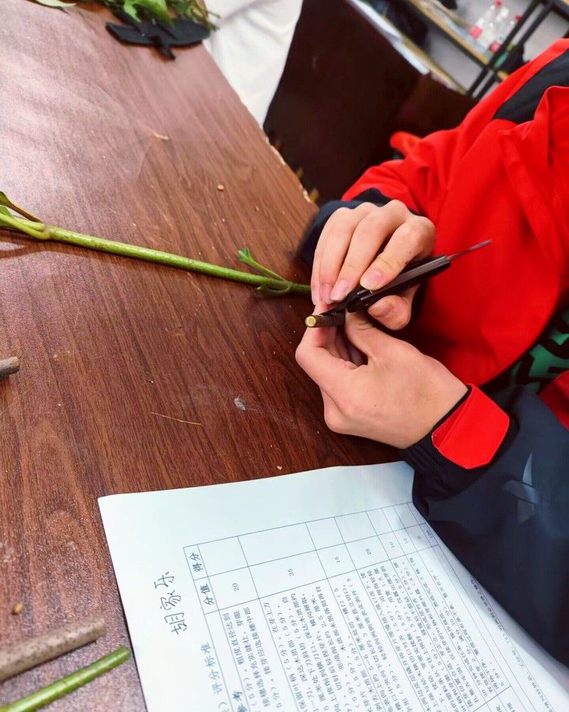 2023.5.11 我院圆满完成植物嫁接比赛初赛3.jpg