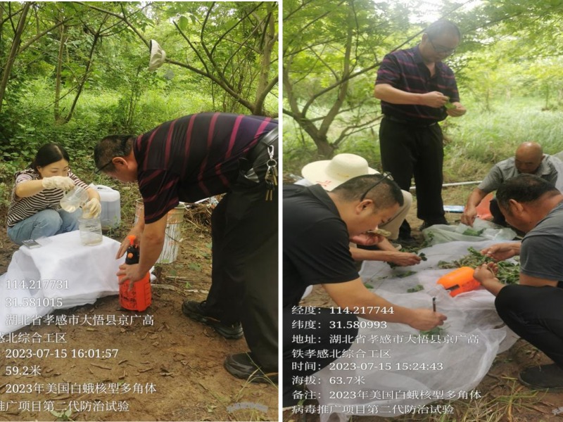 1690008691177573.jpg 图片1_副本.jpg