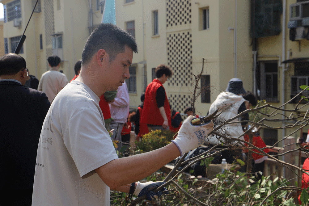 IMG_5229.gif