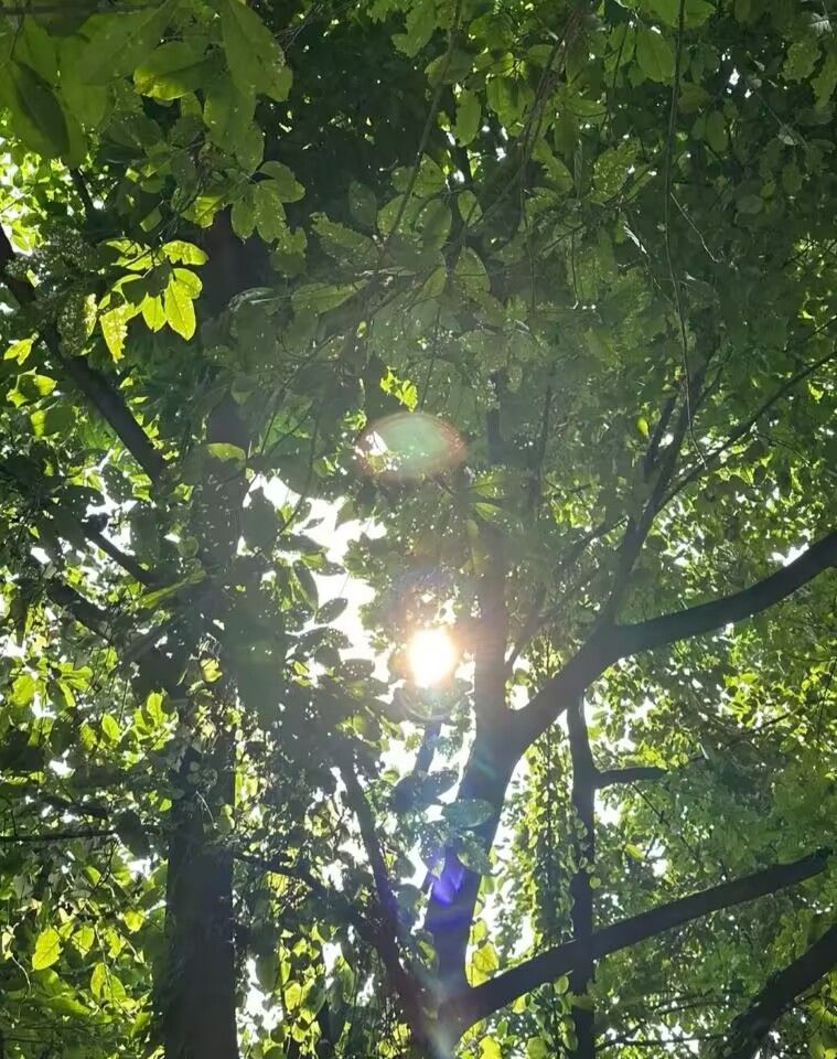 1727354070623318.jpg
