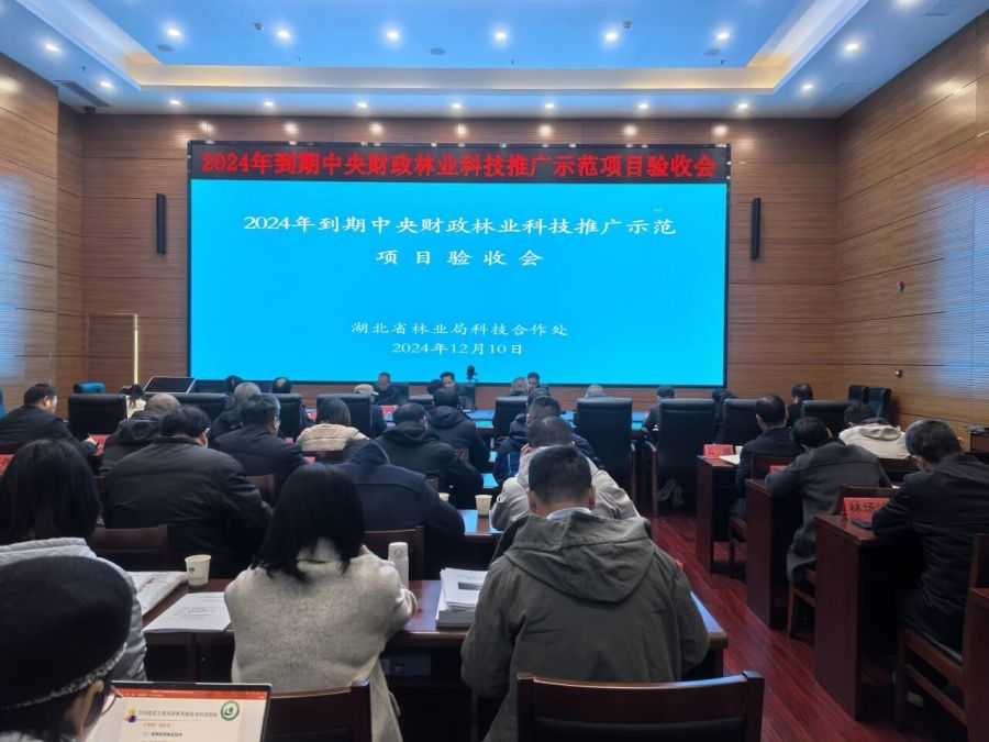 Cache_-67afb4d8121749e1_副本.jpg