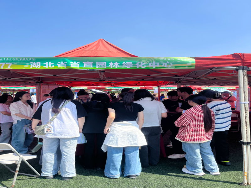 图3_副本.png