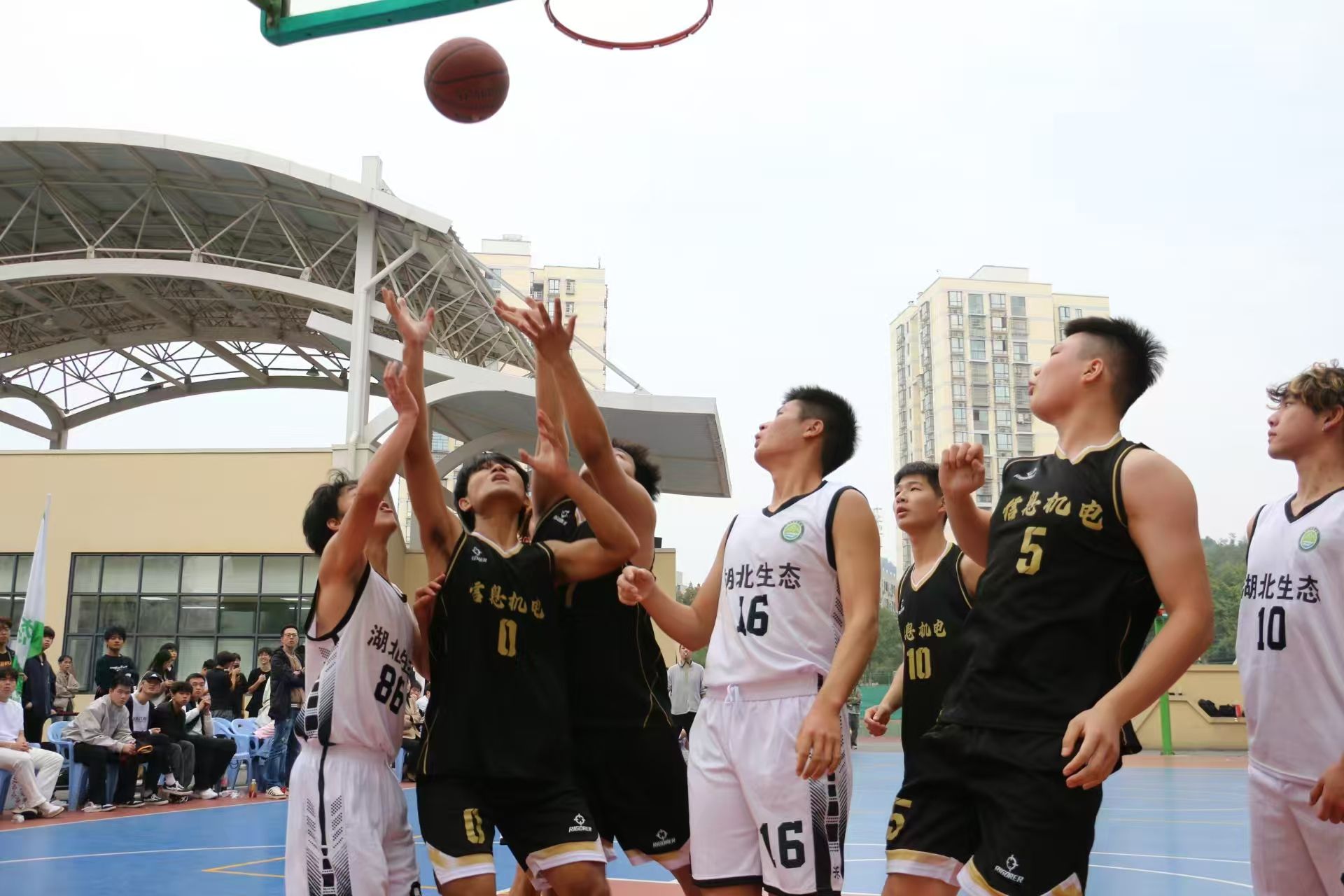 1761872796601798.jpg d2517f6e4dda1f6d50f1a9fad5135884.jpg