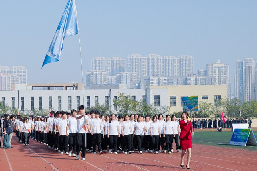 1762393962486387.jpg 5.jpg