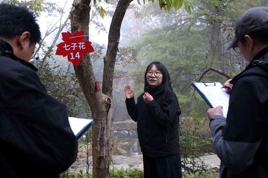 1762418171748312.jpg C.jpg