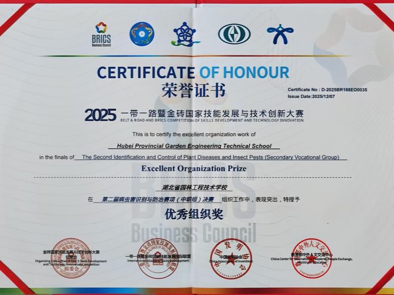 1765424474840086.jpg 231c45ba031332df53dcda696b5a35d0.jpg