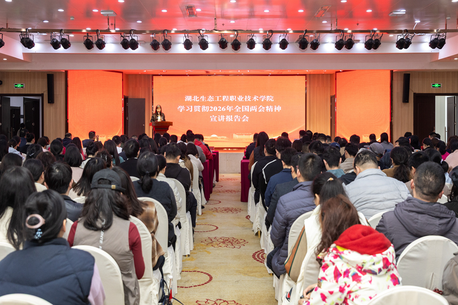 1774594898614291.jpg 1.jpg