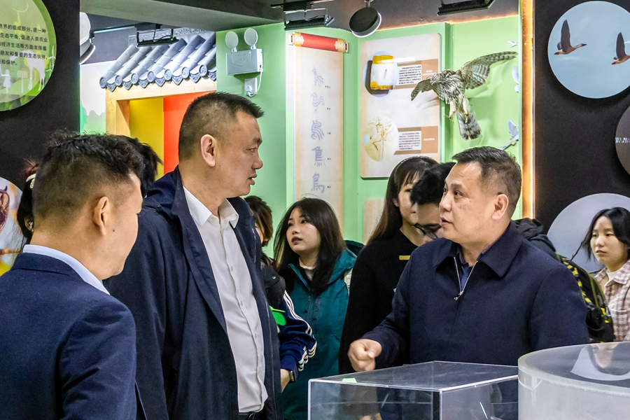 1775026127455018.jpg 2.jpg