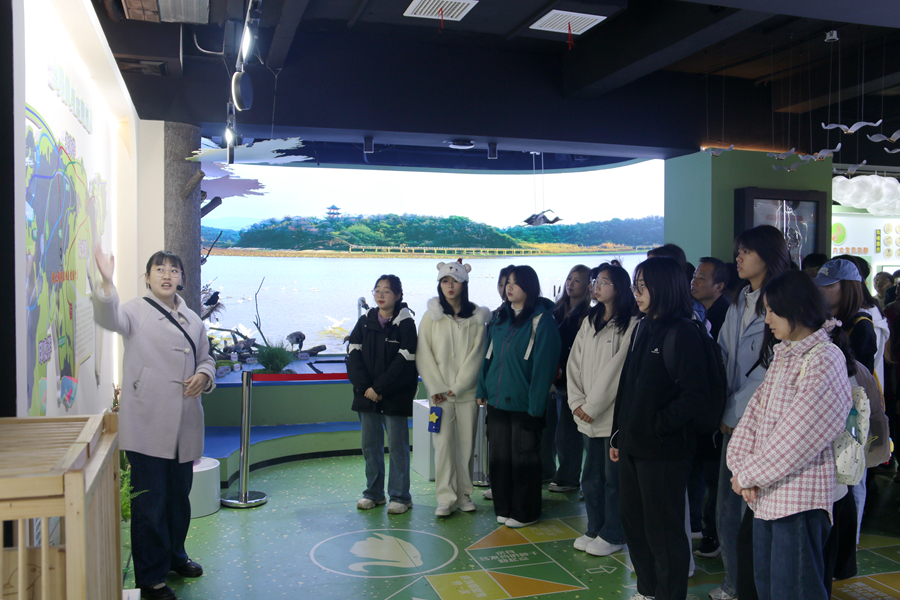 1775026138199066.jpg 3.jpg