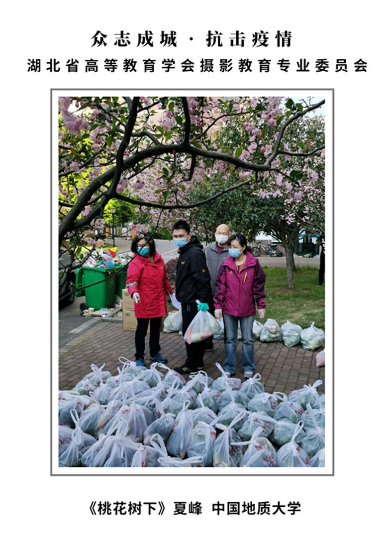 7 《桃花树下》夏峰 中国地质大学_副本.jpg