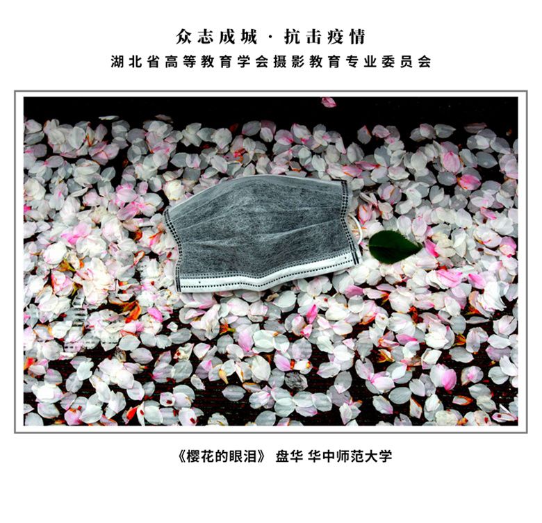 8 三等奖 樱花的眼泪 盘华 华中师范大学_副本.jpg